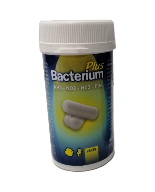Aquili Bacterium Plus E