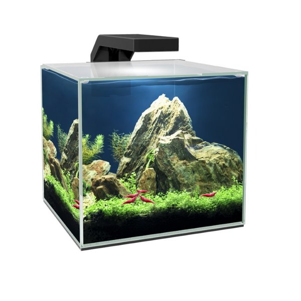 Aquarium Ciano Cube 15 LED